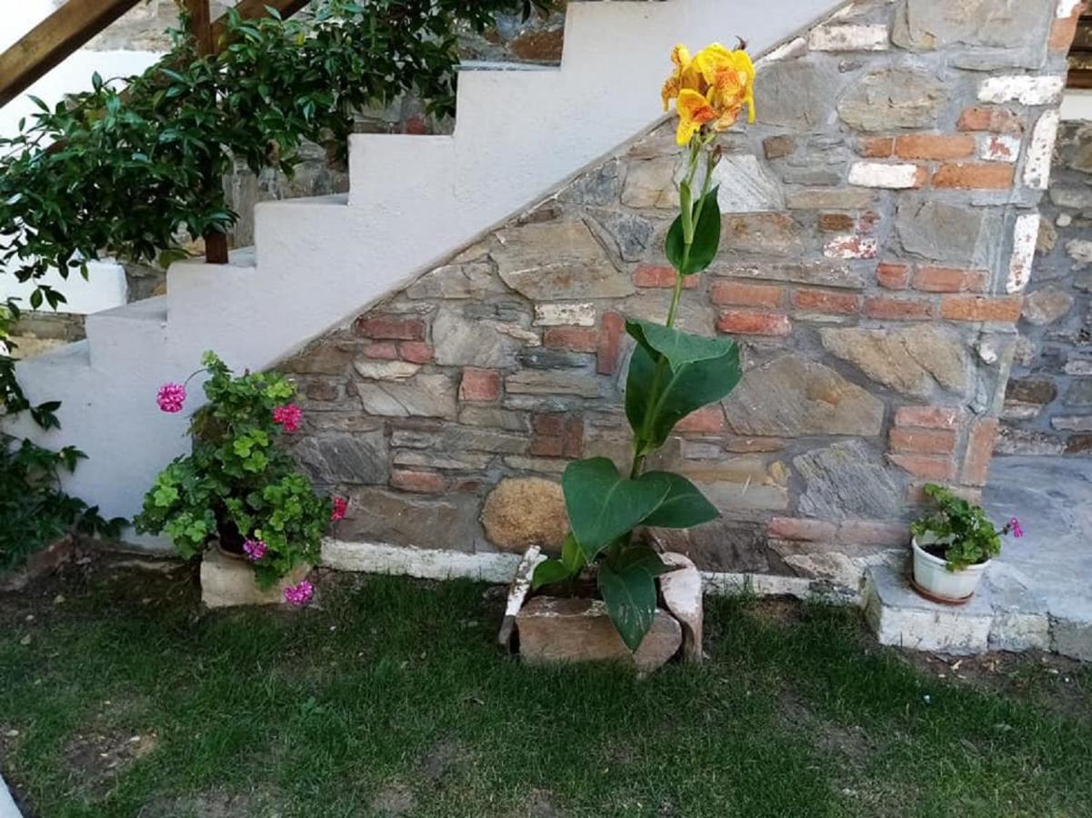 Petrino1880 Sea-Vacation Apartment In Chalkidiki アギオス・ニコラオス エクステリア 写真