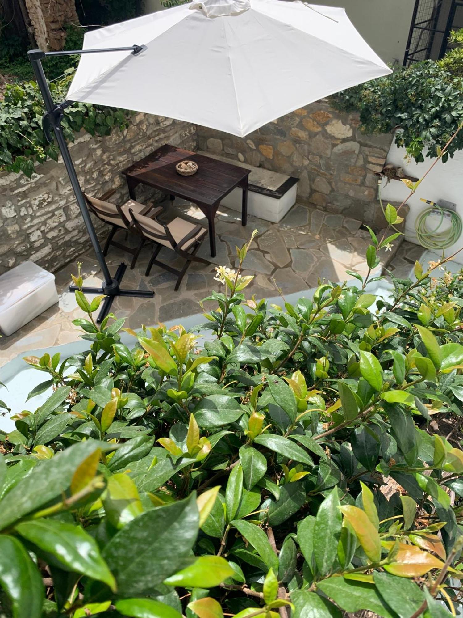 Petrino1880 Sea-Vacation Apartment In Chalkidiki アギオス・ニコラオス エクステリア 写真